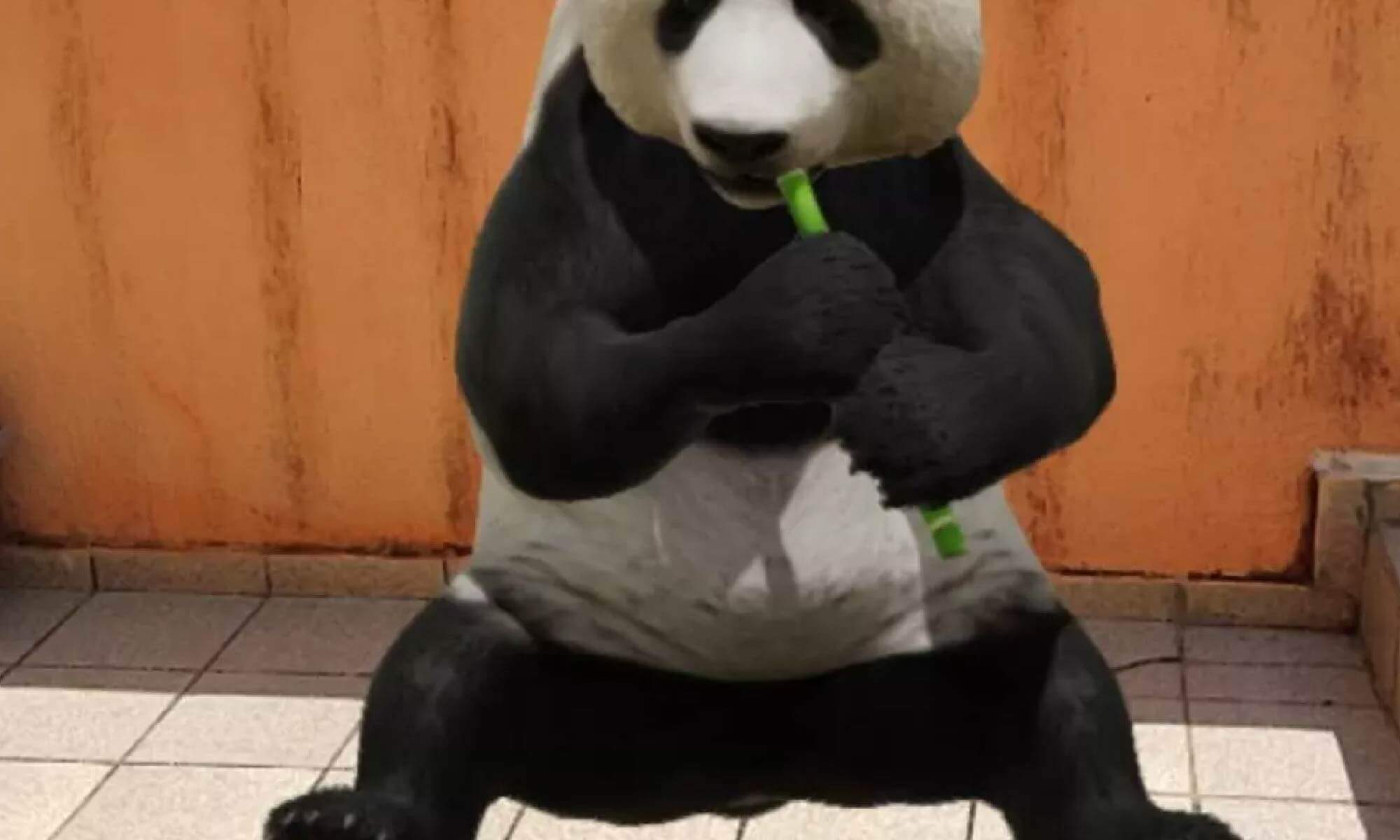 #DescriçãoDaImagem. Imagem Ilustrativa. A imagem contém um urso panda comendo um bambu, sentado no quintal de uma casa. A imagem traz o título "Vendo animais em 3D" e a logo da Retina Brasil está no canto inferior direito.