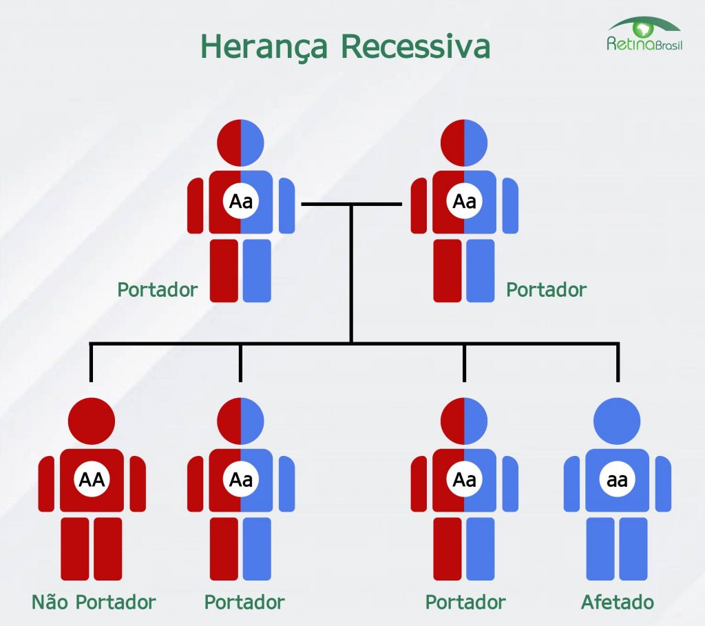 Imagem representativa do padrão de herança recessivo.