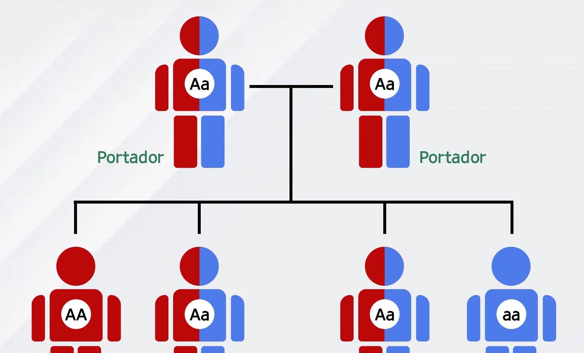 Imagem representativa do padrão de herança recessivo.