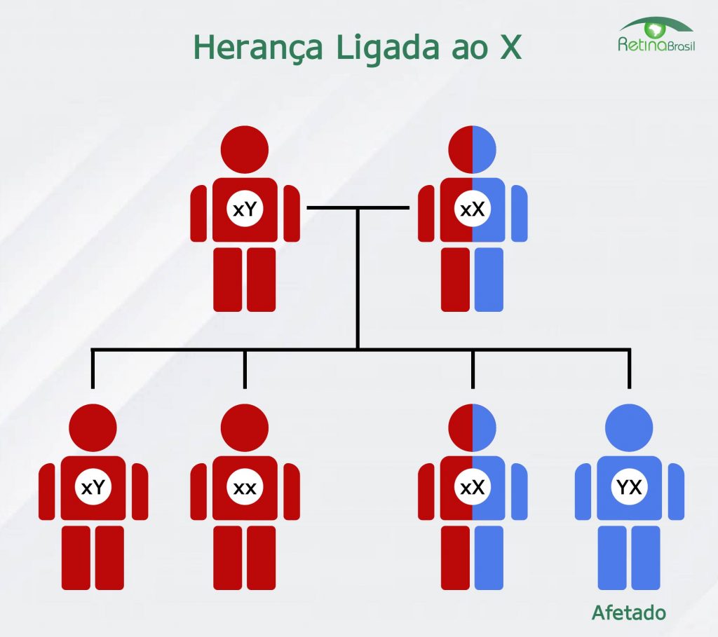 Imagem representativa do padrão de herança ligada ao X.